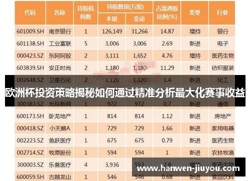 欧洲杯投资策略揭秘如何通过精准分析最大化赛事收益