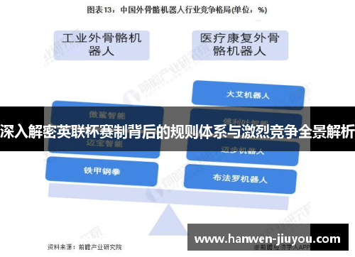 深入解密英联杯赛制背后的规则体系与激烈竞争全景解析 深入解密英联杯赛制背后的规则体系与激烈竞争全景解析
