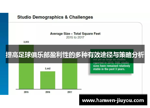 提高足球俱乐部盈利性的多种有效途径与策略分析