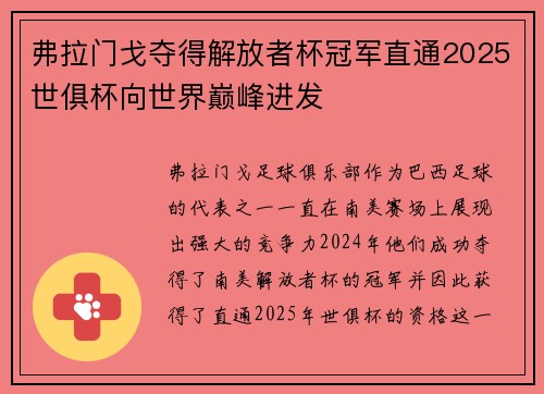 弗拉门戈夺得解放者杯冠军直通2025世俱杯向世界巅峰进发